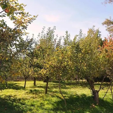 La Quinta Del Chocolatero * El Barco de Ávila