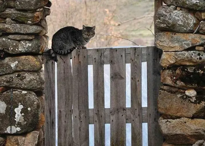 La Quinta Del Chocolatero
