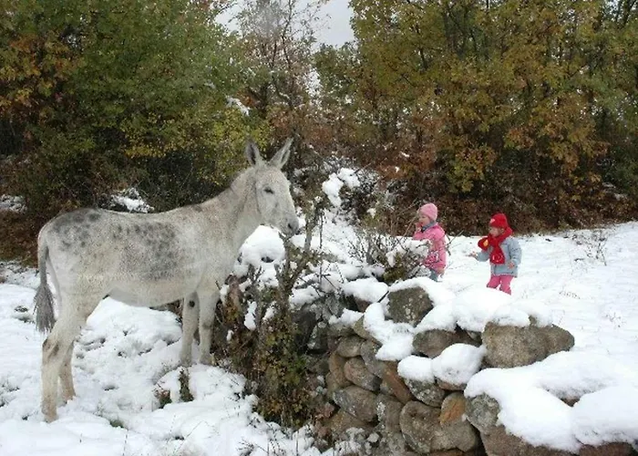 아파트 La Quinta Del Chocolatero