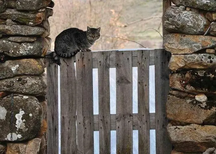 아파트 La Quinta Del Chocolatero El Barco de Ávila