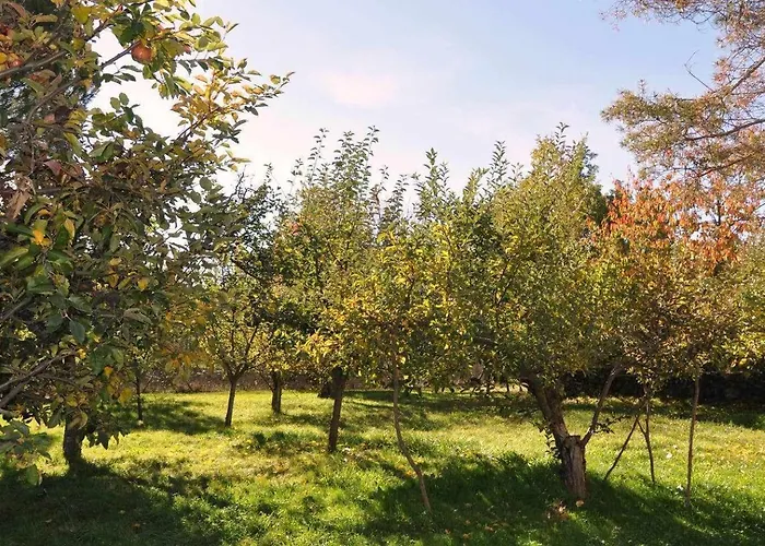 La Quinta Del Chocolatero * El Barco de Ávila